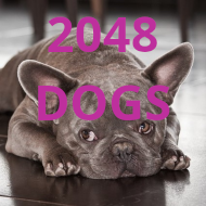2048 DOGS